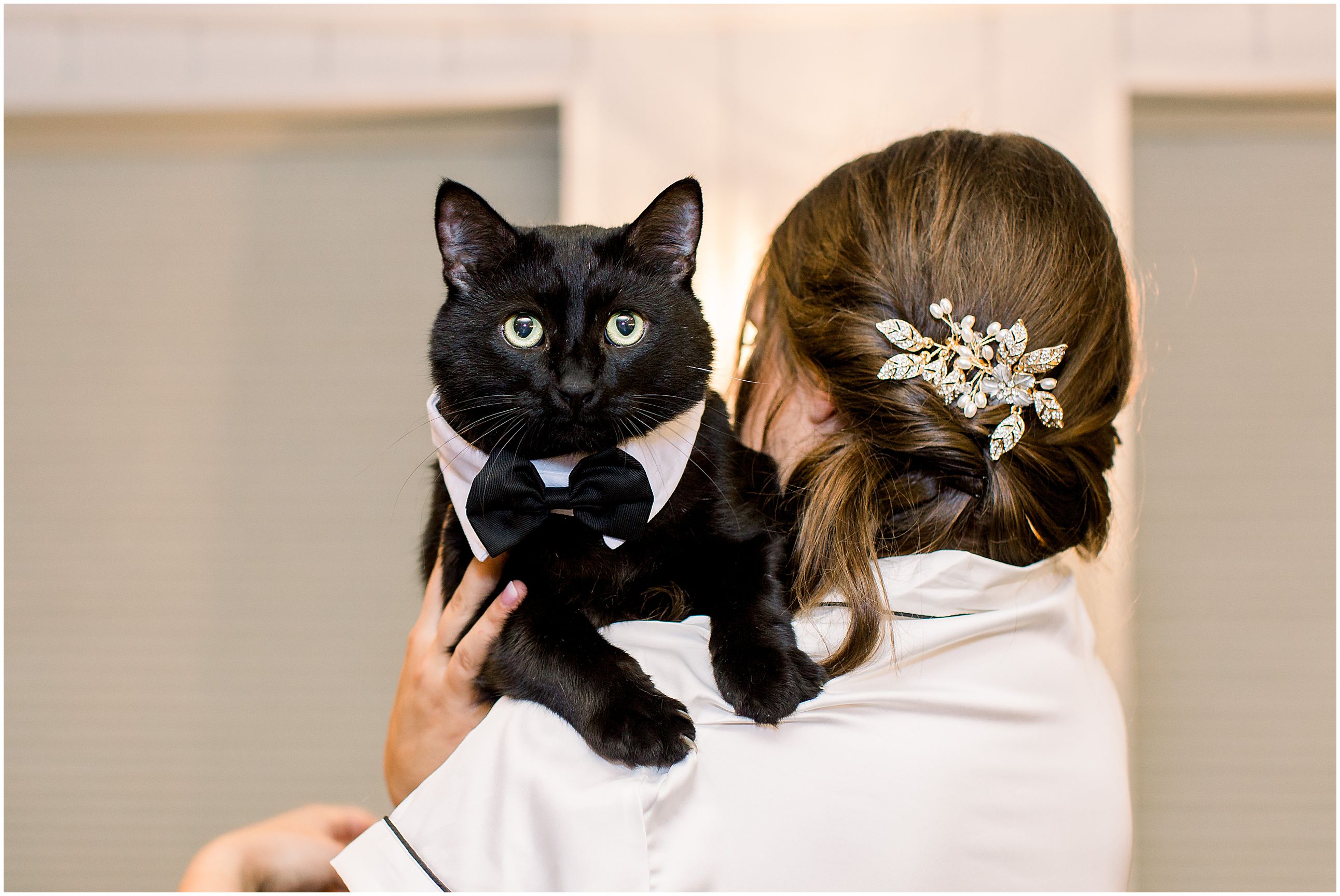 bride with cat